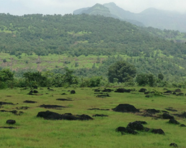 NA Plots in Raigad